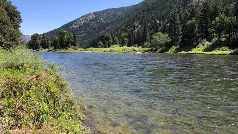 Hellgate Small Dog Park - Missoula, MT