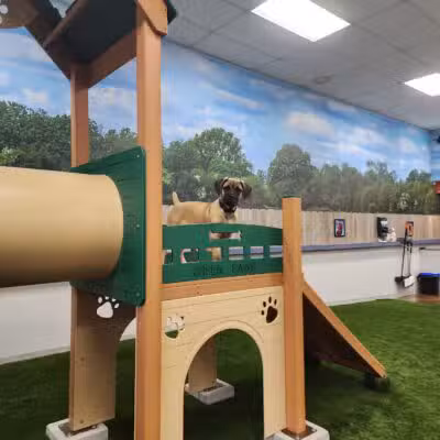 Bark Dog Park & Tap Room - Modesto, CA