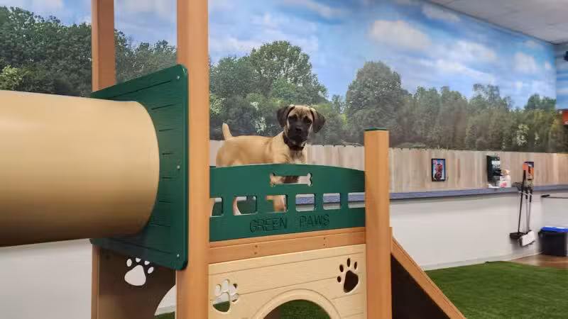 Bark Dog Park & Tap Room - Modesto, CA