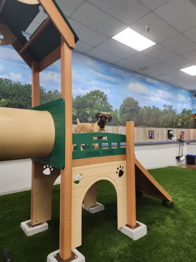 Bark Dog Park & Tap Room - Modesto, CA