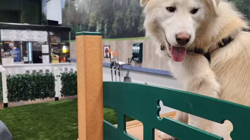 Bark Dog Park & Tap Room - Modesto, CA