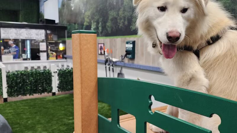 Bark Dog Park & Tap Room - Modesto, CA