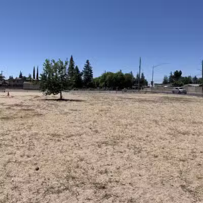 Dog Park - Modesto, CA