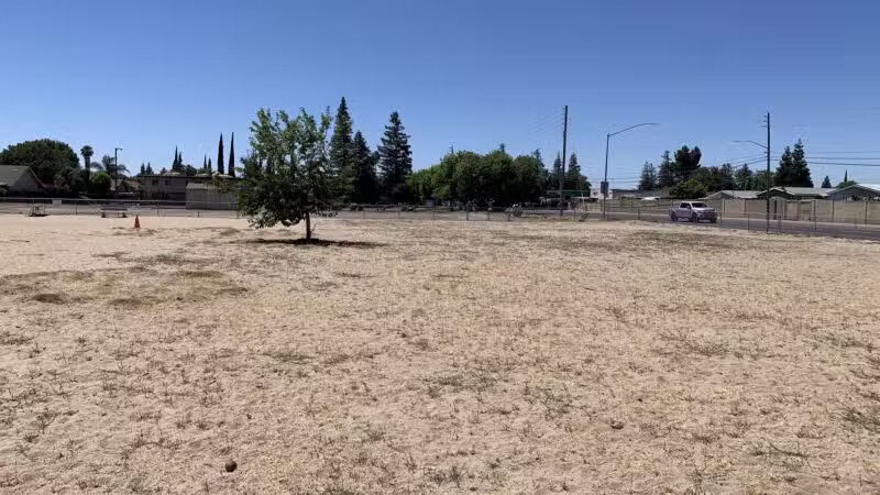 Dog Park - Modesto, CA