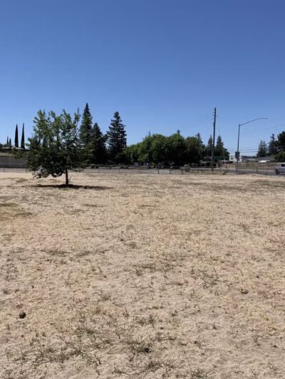 Dog Park - Modesto, CA