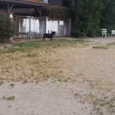 Dog Park - Modesto, CA