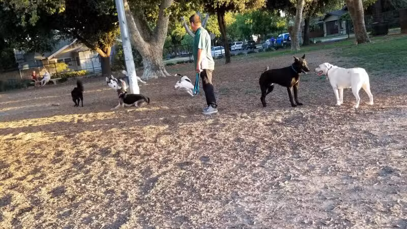 Elk Park / Modesto Dog Park - Modesto, CA