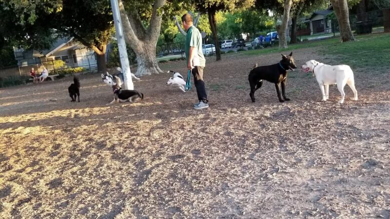 Elk Park / Modesto Dog Park - Modesto, CA