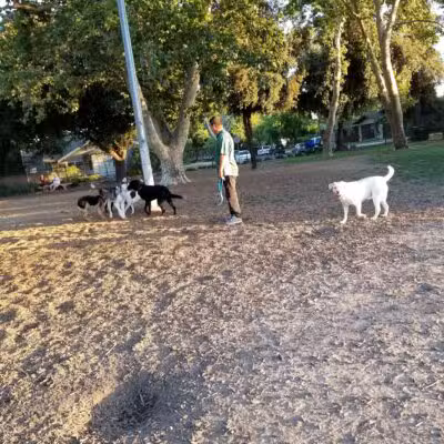 Elk Park / Modesto Dog Park - Modesto, CA