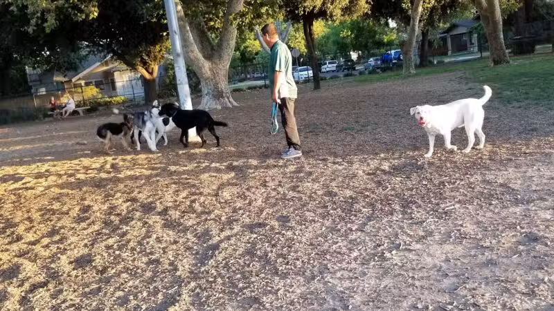 Elk Park / Modesto Dog Park - Modesto, CA