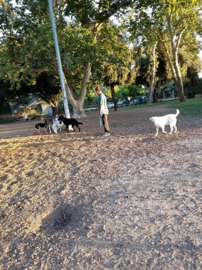 Elk Park / Modesto Dog Park - Modesto, CA