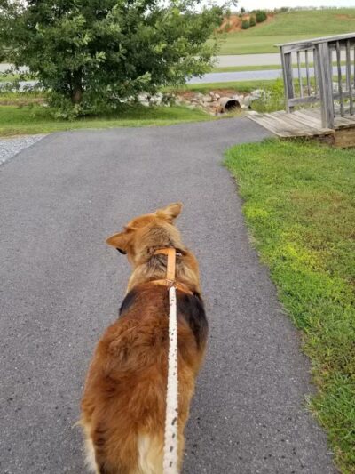 Moneta Park - Moneta, VA