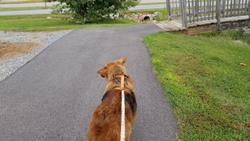 Moneta Park - Moneta, VA