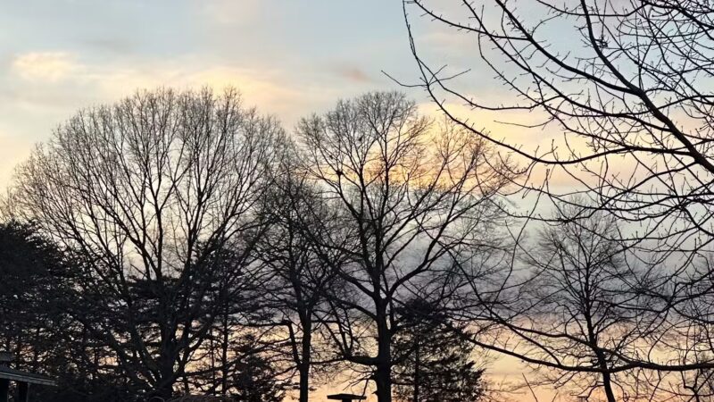 Moneta Park - Moneta, VA