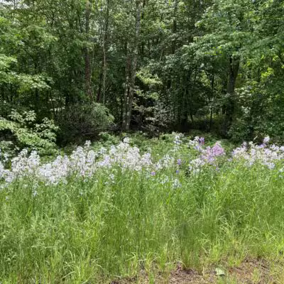 Gesner Park - Monroe, ME