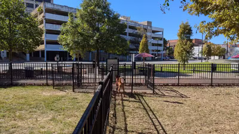 Downtown Dog Park - Montgomery, AL