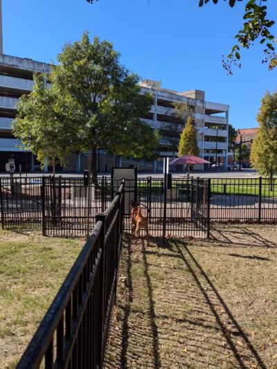 Downtown Dog Park - Montgomery, AL