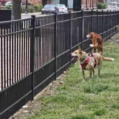 Rotary Dog Park - Montgomery, AL