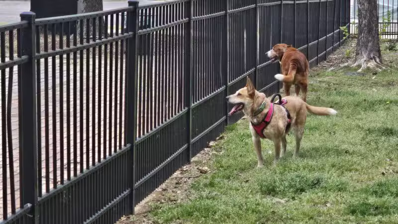 Rotary Dog Park - Montgomery, AL