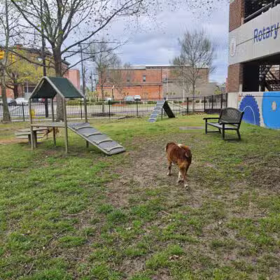 Rotary Dog Park - Montgomery, AL