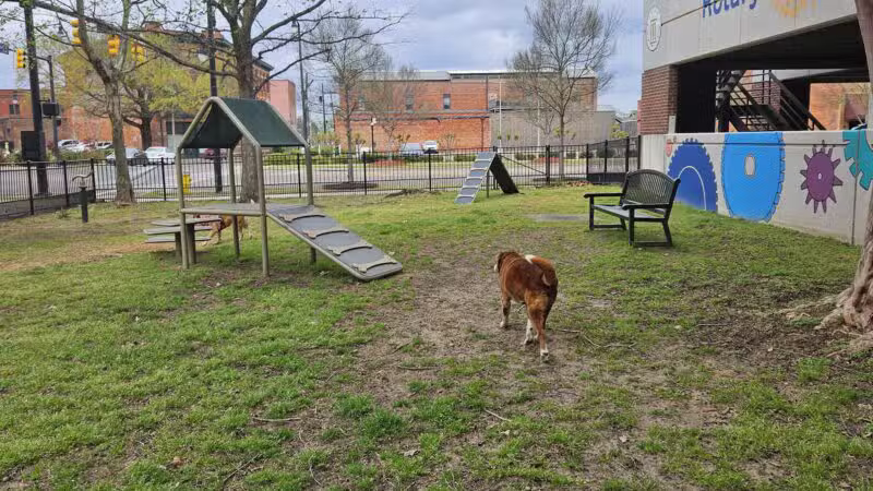 Rotary Dog Park - Montgomery, AL