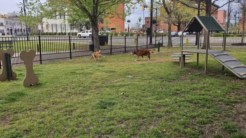 Rotary Dog Park - Montgomery, AL