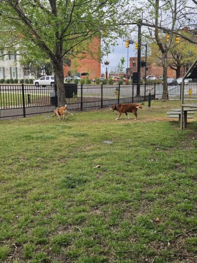 Rotary Dog Park - Montgomery, AL