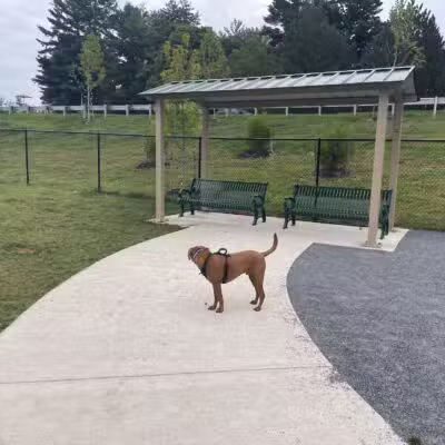Montgomery Village Dog Park - Montgomery Village, MD