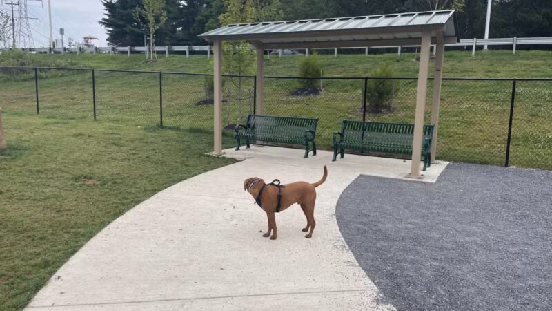 Montgomery Village Dog Park - Montgomery Village, MD