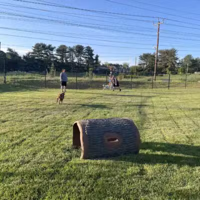 Montgomery Village Dog Park - Montgomery Village, MD