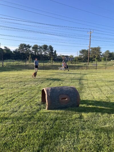Montgomery Village Dog Park - Montgomery Village, MD