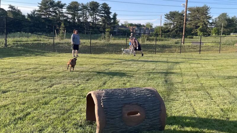 Montgomery Village Dog Park - Montgomery Village, MD
