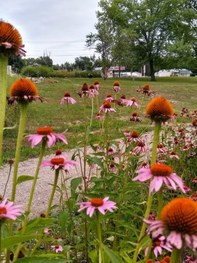 Altherr Nature Park - Monticello, IN