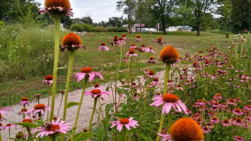 Altherr Nature Park - Monticello, IN