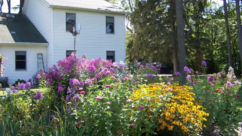 Black Dog Inn - Monticello, IN