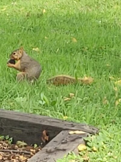 Monticello City Parks & Rec - Monticello, IN