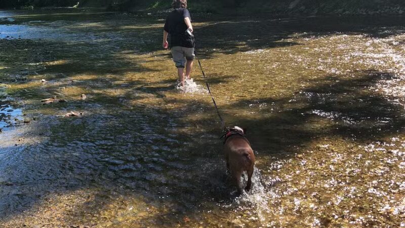 Monticello Fishing - Monticello, IN