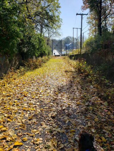 Tioga Park - Monticello, IN