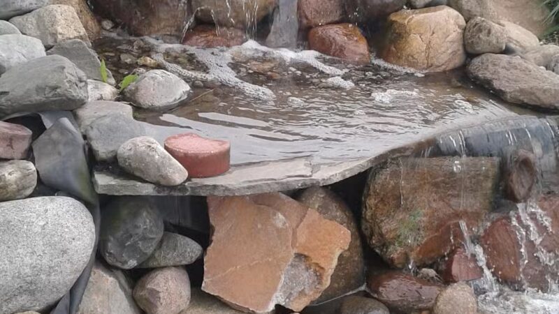 Woods Ranch Cattle Co. - Monticello, IN