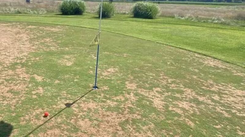 Woods Ranch Cattle Co. - Monticello, IN