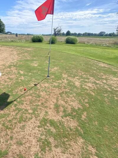 Woods Ranch Cattle Co. - Monticello, IN