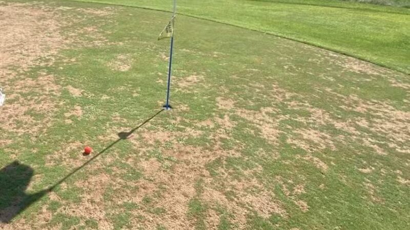 Woods Ranch Cattle Co. - Monticello, IN