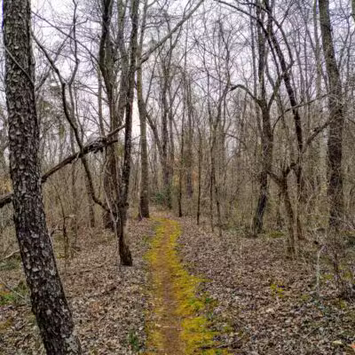 Montvale Park - Montvale, VA