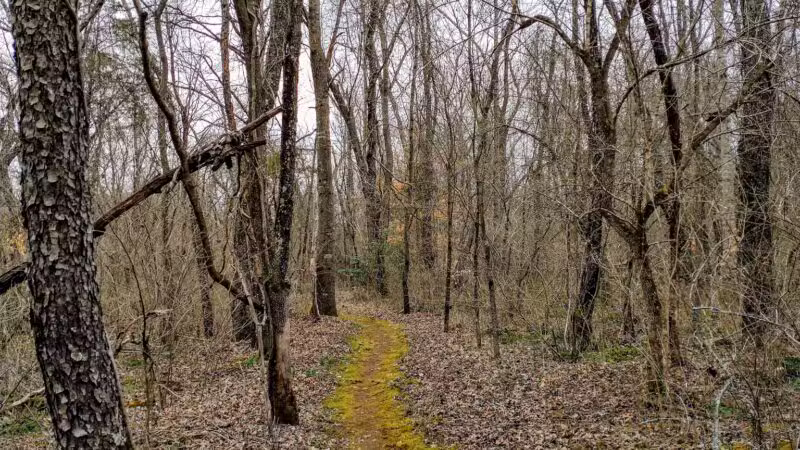 Montvale Park - Montvale, VA