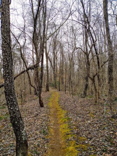 Montvale Park - Montvale, VA