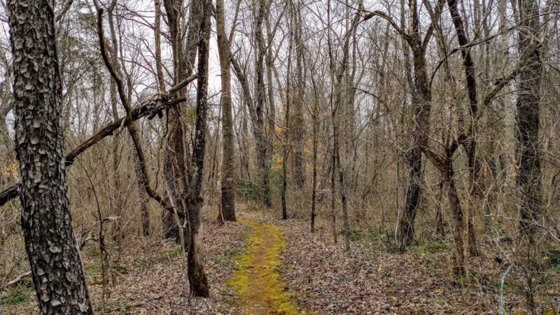Montvale Park - Montvale, VA