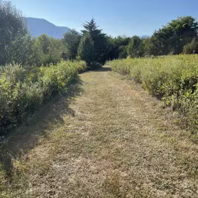 Montvale Park - Montvale, VA