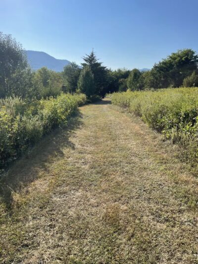 Montvale Park - Montvale, VA