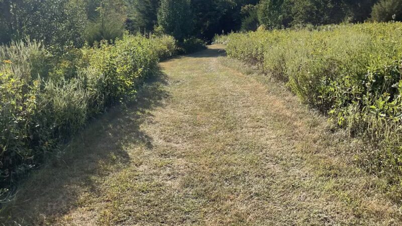 Montvale Park - Montvale, VA