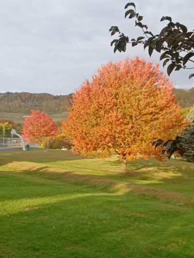 Jack Roberts Park - Morgantown, WV